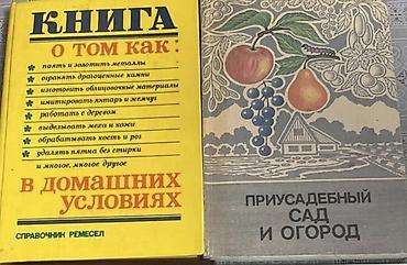 Учебники: Кыргызская литература, 10 класс, Б/у, Самовывоз — 1