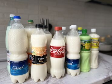малдын кыгы: Кымыз свежий 
Свежий кымыз