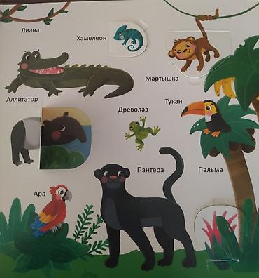 лыжа в бишкеке: Развивающие книжки с окошками для детей младшего дошкольного возраста — 3