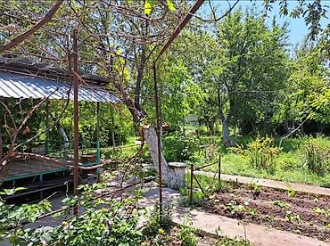 Продажа участков: 5 соток — 8