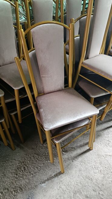 Стулья для зала: Стул для зала, Новый, Железо — 24