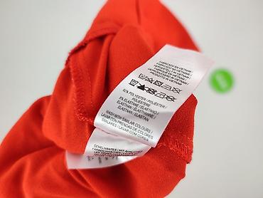 marks spencer eu: Primark, Spodnie materiałowe damskie, rozmiar L — 6
