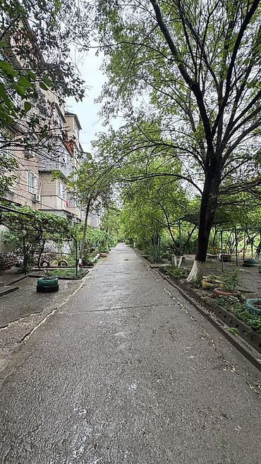 Продажа квартир: 3 комнаты, 65 м², Индивидуалка, 3 этаж, Евроремонт — 11