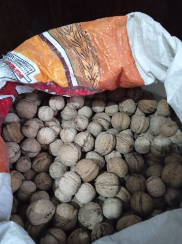 Продукты питания: Продаю грецкие орехи, ~15 кг, по 80 сом из собственного сада