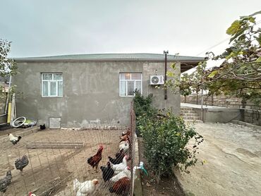 Həyət evləri və villaların satışı: Binə 4 otaqlı, 100 kv. m, Orta təmir -da lalafo.az — 11 Həyət evləri və villaların satışı: Binə 4 otaqlı, 100 kv. m, Orta təmir — 11