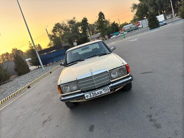 домкрат воздушный: Mercedes-Benz W123: 1984 г., 2.4 л, Механика, Дизель, Седан