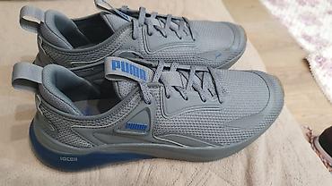 puma ferrari: Мужские кроссовки, 41, Puma, Новый, цвет - Черный, Платная доставка — 5