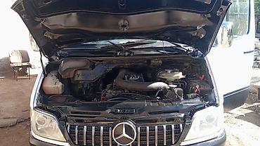 Автобусы и маршрутки: Автобус, Mercedes-Benz, 2006 г., 2.7 л, до 15 мест — 11