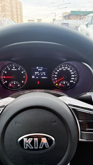 Kia: Kia K5: 2019 г., Бензин — 24