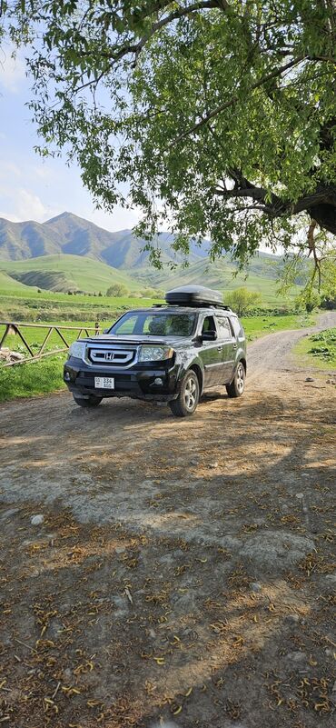 xonda pilot: Honda Pilot: 2008 г., 3.5 л, Автомат, Бензин, Кроссовер
