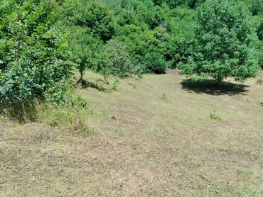 Torpaq sahələrinin satışı: Tikinti — 21