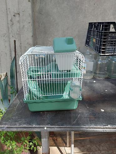 hamster satis: Kiçik hemstrlar üçün qəfəs dəsti - Ağ metal barmaqlıqlı, yaşıl — 1