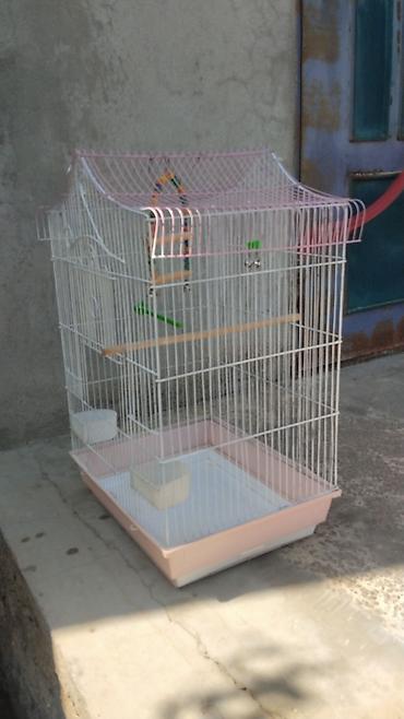 qus adlari: Böyük ölçülü quş qəfəsi 60 azn - Material: Ağ rəngli möhkəm metal — 3