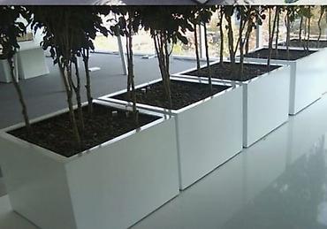 Bitkilər üçün dibçəklər: Dibcekler — 6