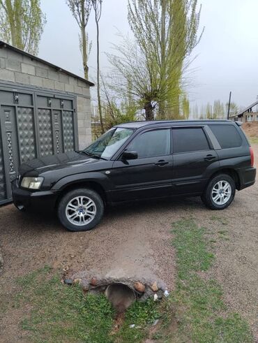 Subaru: Subaru Forester: 2003 г., 2 л, Автомат, Бензин, Универсал