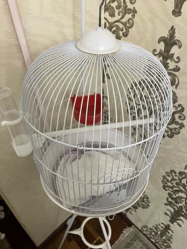 Qəfəslər: Ağ rəngli asılqanlı quş qəfəsi - Dairəvi, günbəz formalı metal — 2