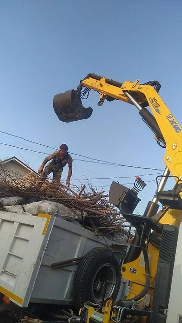 Уборка территории: Уборка территории, Уборка двора и сада — 7