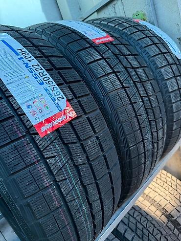 Транспорт: Зимние шины Nankang ESSN-1 Winter Activa - Размер: 265/50 R22 - — 3