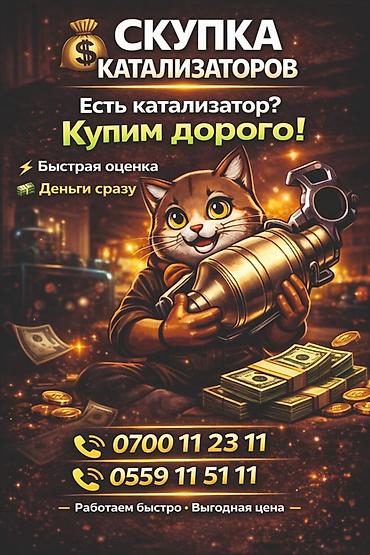 cl 7: Скупка катализаторов дорого прием катализатора катализаторы через — 1