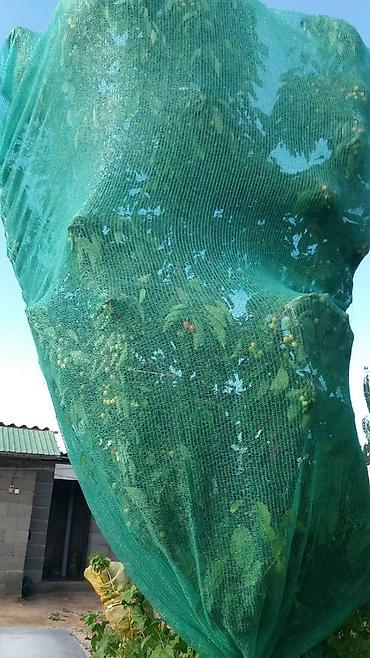 Защитные сетки от птиц: Защитные сетки от птиц, Самовывоз — 5