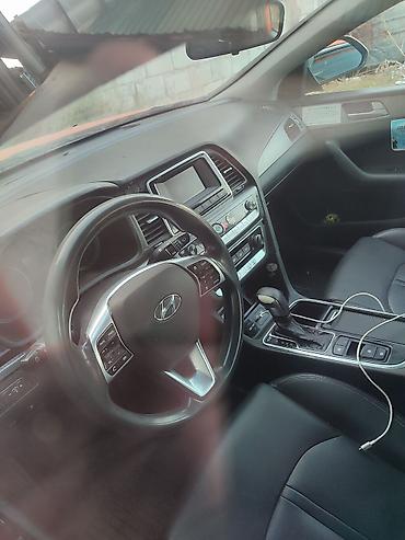 бант для машины: Hyundai Sonata: 2020 г., 2 л, Автомат, Газ, Седан — 5