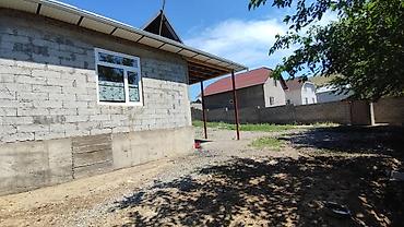 Продажа барачных домов: Ошто жер уй сатылат. Ишкаванда. ГАЗ СУУ СВЕТ БАР 4 КОМНАТ + душ at lalafo.kg — 10 Продажа барачных домов: Ошто жер уй сатылат. Ишкаванда. ГАЗ СУУ СВЕТ БАР 4 КОМНАТ + душ — 10