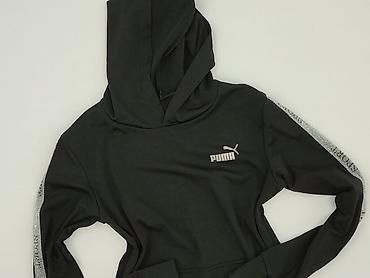dresy terranova: Puma, Bluza z kapturem damska, rozmiar S — 1