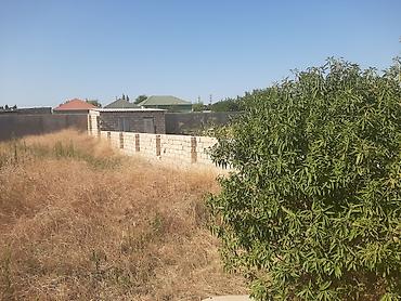 maştaga: 4 sot, Tikinti, Kupça (Çıxarış) — 8
