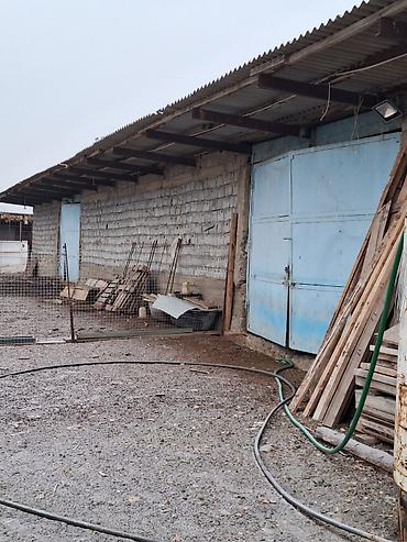 Продажа сельхоз предприятий: Продам большую ферму,расположеную в Сокулукском районе,возле — 5