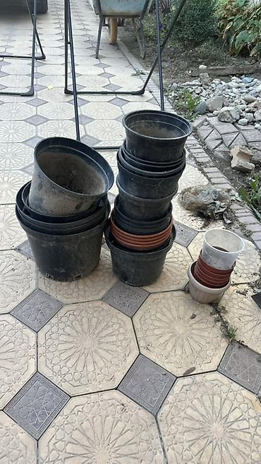 Өсүмдүктөр үчүн карапалар: Набор пластиковых цветочных горшков разных размеров для комнатных и — 1