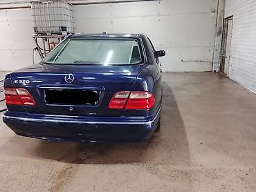 рекс дельфин: Mercedes-Benz E-Class: 2000 г., 3.2 л, Автомат, Бензин, Седан — 5