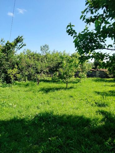 Həyət evləri və villaların satışı: 5 otaqlı, 24 kv. m, Kredit yoxdur, Orta təmir — 12