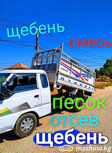 Грызуны: Отсев отсев отсев отсев отсев отсев отсев отсев отсев отсев отсев — 1