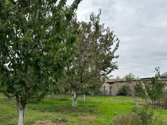 Bağ evlərinin satışı: Xaçmaz, 120 kv. m, 5 otaqlı, Hovuzsuz, Artezian quyusu, İnternet, Telefon — 12