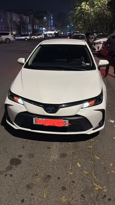 рейка на камри: Toyota Corolla: 2019 г., Гибрид, Седан