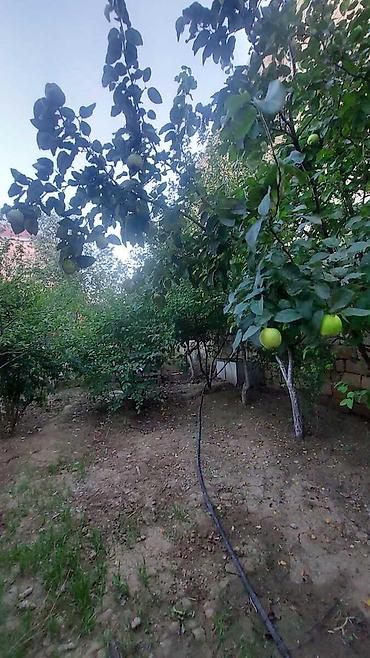 imisli ev elanlari: Masazır 3 otaqlı, 100 kv. m, Kredit yoxdur, Orta təmir — 8
