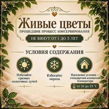 цветы бишкек круглосуточно: Живые розы которые не завянут даже через год!!! Бишкек, букет в вазе — 6