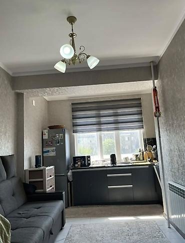 аламединское ущелье: 2 комнаты, 45 м², Аламедин-1 мкр Элитка, 3 этаж, Евроремонт — 6