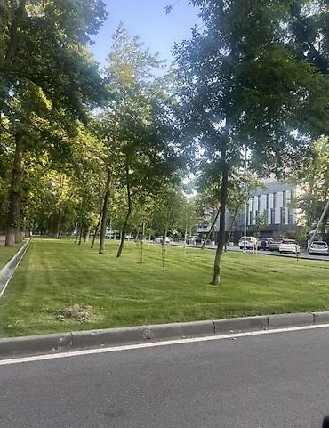квартира бруклин: 2 комнаты, 80 м², Элитка, 7 этаж, Дизайнерский ремонт — 2
