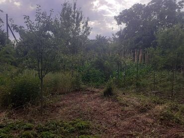 Torpaq sahələrinin satışı: 6 sot, Tikinti, Makler, Kupça (Çıxarış) — 5