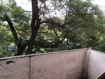 Uzunmüddətli kirayə mənzillər: Koroğlu parkının düz yaxınlığında və bir neçə universitetə (ADA, Tibb — 15