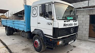 daf адиночка: Грузовик, Mercedes-Benz, Стандарт, Б/у — 3