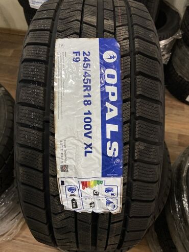 оригинальные штампованные диски опель: Шиналар 245 / 45 / R 18, Кыш, Жаңы, Комплект, Жеңил унаалар, Кытай