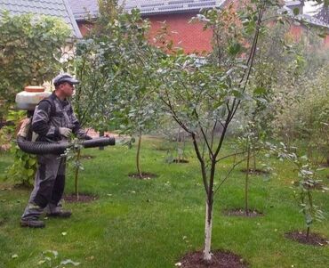 Другие услуги: Садовник! Готовим Сад к Зиме! Обработка Сада! Осенняя обрезка и — 3