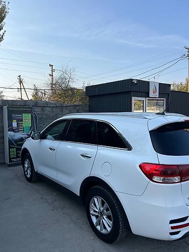 трактор обмен на скот: Kia Sorento: 2020 г., 2.4 л, Автомат, Бензин, Кроссовер — 2