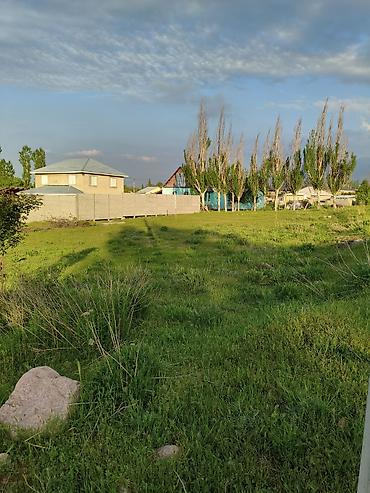 Продажа участков: 5 соток, Красная книга — 5