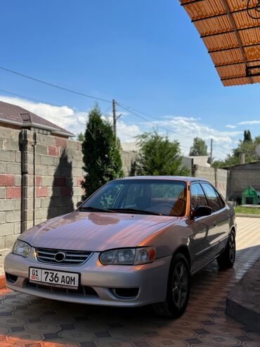 тайота марк 2 авто: Toyota Corolla: 2001 г., 1.8 л, Механика, Бензин, Седан