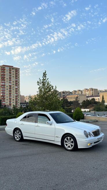 Mercedes-Benz: Mercedes-Benz E-Class (W210), ağ rəng, sedan gövdə. Xüsusiyyətlər: - — 6