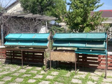 упаковка ак босого: Продаю полка для овощей фруктов lalafo.kg да упаковка ак босого: Продаю полка для овощей фруктов