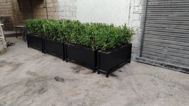 Sifarişlə digər bağ mebeli: Taxta məmulatları və həyət/perqola konstruksiyaları - Mətbəx üçün — 22